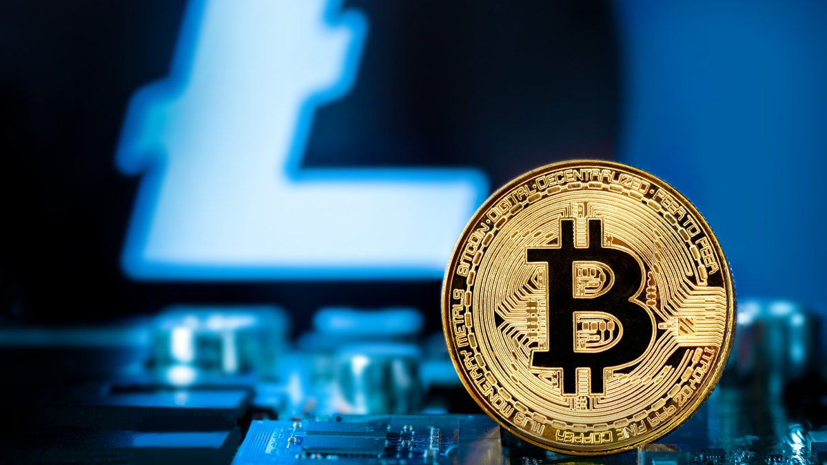 tokens coin kripto